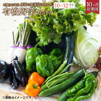 【ふるさと納税】【10ヶ月定期便】有機JAS認定 季節の野菜詰め合わせ～有機野菜セットA～ 10～12種類程度 おまかせ 詰め合わせ 農薬化学肥料不使用 朝どれ 新鮮野菜 安心 安全 国産 北海道 北広島市産 冷蔵 送料無料