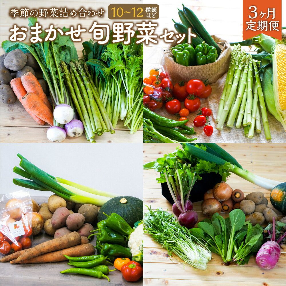 28位! 口コミ数「0件」評価「0」【3ヶ月定期便】 おまかせ 旬 野菜 セット 詰め合わせ 10～12種類程度 やさい 新鮮野菜 安心 安全 国産 旬 定期便 3回 北海道 ･･･ 