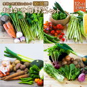 【ふるさと納税】【12ヶ月定期便】 おまかせ 旬 野菜 セット 詰め合わせ 10～12種類程度 やさい 新鮮野菜 安心 安全 国産 旬 定期便 12回 北海道 北広島市産 冷蔵 送料無料