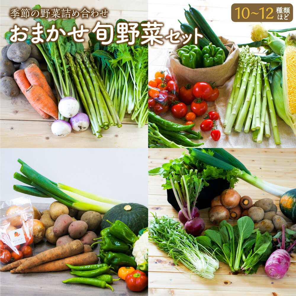 【ふるさと納税】おまかせ 旬 野菜 セット 詰め合わせ 10