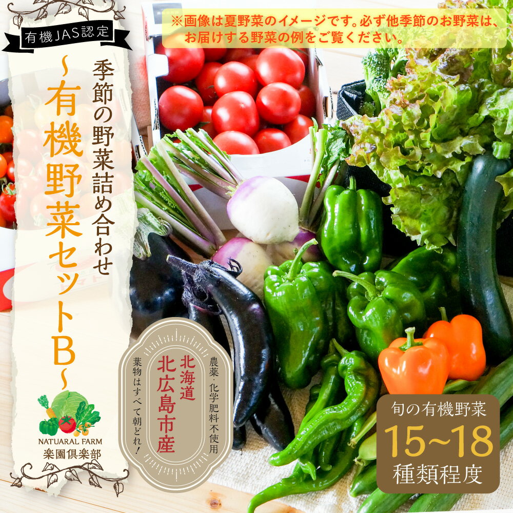 【ふるさと納税】有機JAS認定 季節の野菜詰め合わせ~有機野菜セットB~季節の有機野菜 15～18種類程度 おまかせ 詰め合わせ 農薬化学肥料不使用 朝どれ 新鮮野菜 安心 安全 国産 北海道 北広島市産 春 冷蔵 送料無料