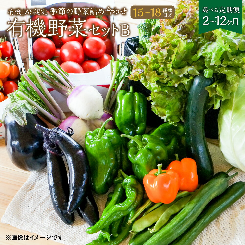 [選べる定期便 2ヶ月〜12ヶ月]有機JAS認定 季節の野菜詰め合わせ〜有機野菜セットB〜 15〜18種類程度 おまかせ 農薬化学肥料不使用 朝どれ 新鮮野菜 安心 安全 国産 定期 2回 3回 4回 5回 6回 7回 8回 9回 10回 11回 12回 北海道 北広島市産 冷蔵 送料無料