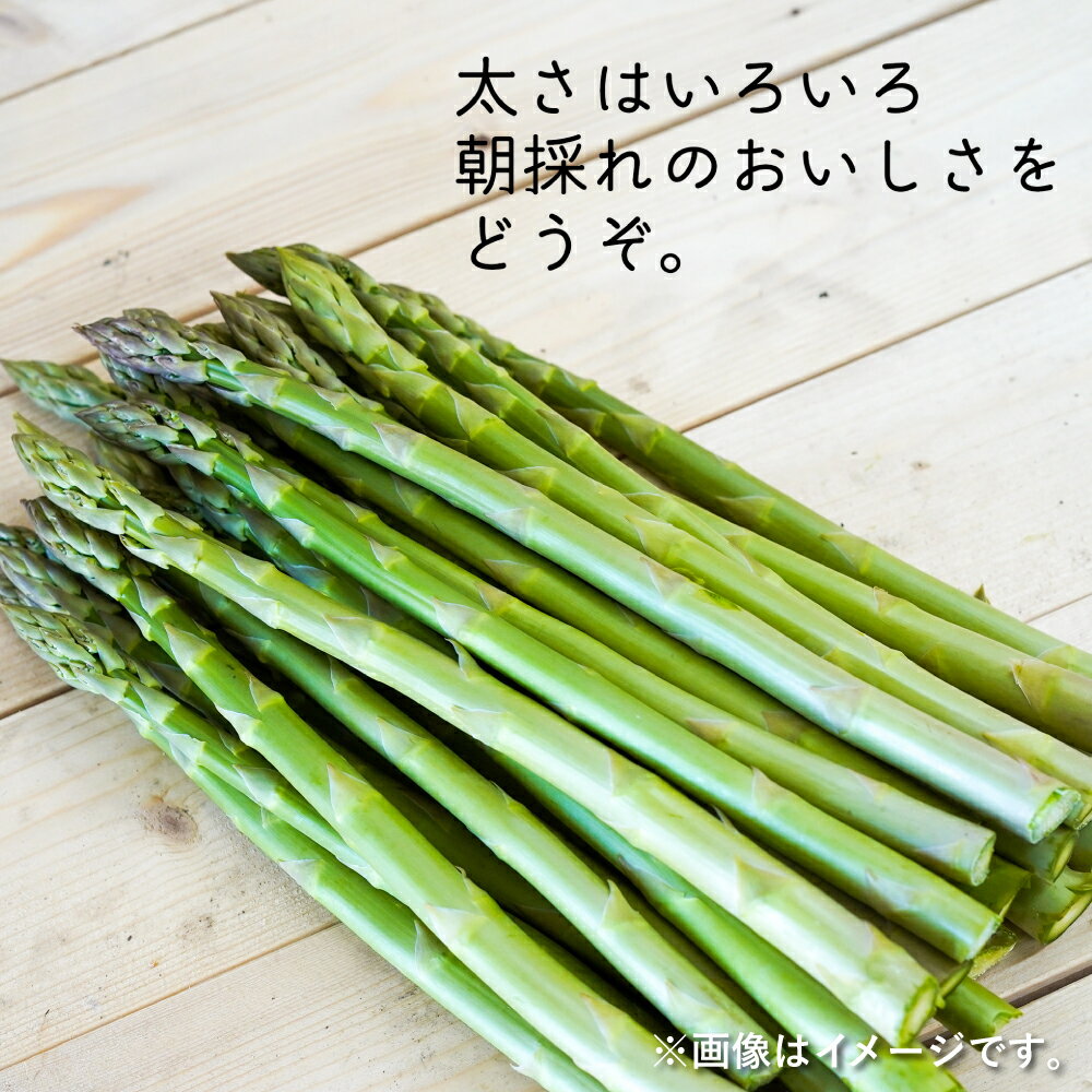 アスパラ 約2kg M〜2L[2024年4月下旬〜6月下旬発送]新鮮野菜 国産 北海道産 北広島市産 春 冷蔵 北海道 北広島市 送料無料