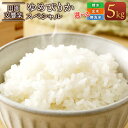 【ふるさと納税】【選べる 精米 玄米 無洗米】令和5年