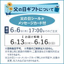 【ふるさと納税】父の日 ギフト ハンバーグ 牛肉 ビーフ 北海道北海道産ビーフハンバーグ(ありがとう)(1枚90g)石狩市 いしかり 北海道 北海道牛 国産牛 道産 牛肉 100% はんばーぐ 肉 時短 冷凍したまま 小分け 高評価 人気 美味しい 本格（のし対応可）(h_hb) 2