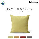 家具 インテリア 雑貨blocco フェザー100％ クッション（48×48cm）北海道 石狩市 いしかり おしゃれ かわいい 北欧 シンプル 無地 柄なし 羽毛 青山 高級 家具 インテリアグッズ クッション ぶろっこ ブロッコ