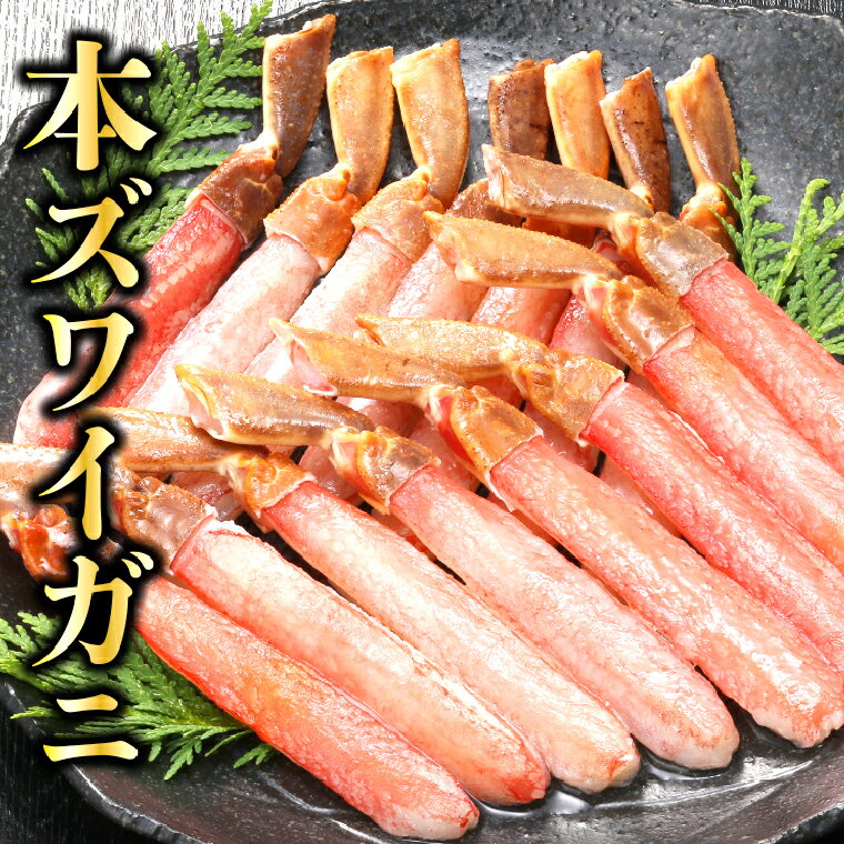 【ふるさと納税】蟹 かに カニ本ズワイガニのポーション(500g・約2人前)(1kg・約4人前)北海道 石狩市 いしかり ずわいがに ずわい ズワイ ずわい蟹 ズワイ蟹 かに足 ポーション 食べやすい 切り込み 蟹脚 足 脚 生冷凍 生食可 刺身（のし対応不可）s1225