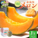 【ふるさと納税】《レビューキャンペーン》 北海道 石狩産 赤果肉 メロン 1玉 計1.6kg以上 【7月中旬 発送】 赤肉メロン 北海道メロン フルーツ 1個 ...