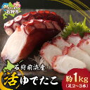 【ふるさと納税】《レビューキャンペーン》海鮮 たこ タコ 石狩前浜産 活ゆでたこ(約1kg(足2〜3本)) 石狩市 ふるさと納税 北海道 北海道産 石狩産 タコ...