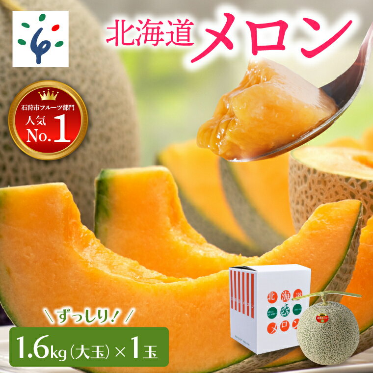 【ふるさと納税】【先行予約】お中元 メロン ギフト2023年7月中旬以降配送予定 北海道産赤肉メロン(大玉)(約1.6kg×1玉)北海道 赤肉メロン 北海道メロン フルーツ 1個 果物 石狩市 御中元 暑中御見舞 旬のフルーツ 人気 ギフト対応 大きい（のし対応）のサムネイル