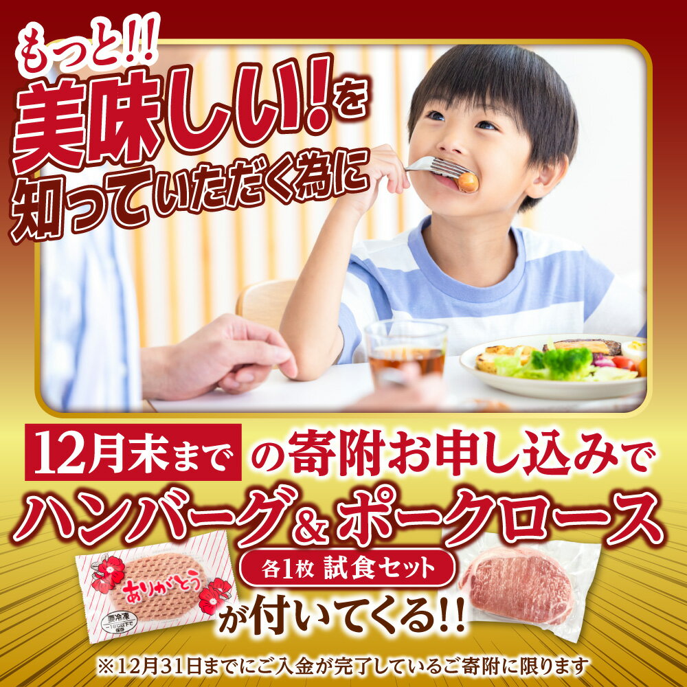 【ふるさと納税】《レビューキャンペーン》牛肉 ステーキ ビーフ 訳あり サーロイン 2kg ニュージーランド産又は豪州産 ステーキ肉 2キロ 2kg 不揃い 訳有 訳ありステーキ 肉 焼肉 焼き肉 ビーフステーキ サーロインステーキ 柔らかい おすすめ【h_sk】 北海道 石狩市