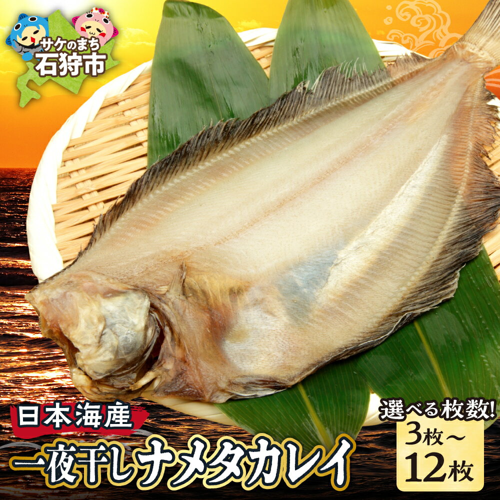 干物 かれい カレイ 一夜干しナメタカレイ 3枚〜12枚入り 北海道 石狩市 いしかり 3枚 3人前 6枚 9枚 12枚 ナメタガレイ かれい ババガレイ 一夜干 干物セット 詰め合わせ 珍味 魚貝さかな おいしい グルメ 海の幸 開き