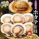 【ふるさと納税】ギフト ホタテ ほたて 帆立 【4月頃出荷】ホタテ片貝生冷パック【5枚入×2袋〜4袋】 北海道 石狩市 いしかり 貝 海産物 魚貝 水産 海鮮 冷凍 片貝 パック 袋 殻付き 片貝 BBQ 焼き肉 網焼き バター醤油 お祭り まとめ買い