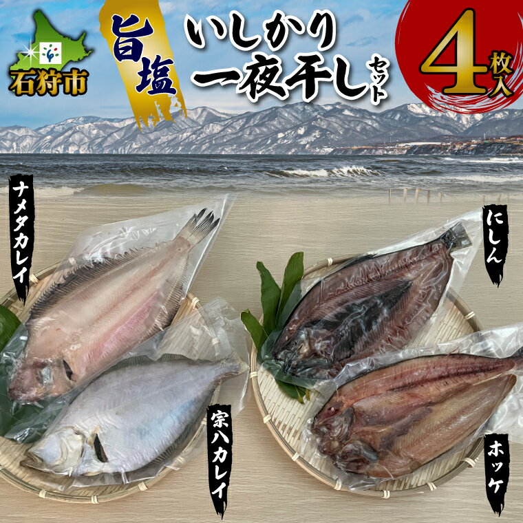 石狩界隈で獲れた、新鮮なお魚を更にひと手間加え、美味しく仕上げた一夜干し。一枚一枚丁寧にしっかりと旨みを引き出し、程よい塩加減、しかも食べ応えのある人気のお魚を一夜干しセットに致しました。 【宗八カレイ】 冷蔵解凍後、グリル弱火で皮をひっくり返し、じっくり焼き色がついたら裏返して身の面も焼いてください。 【ナメタカレイ】 そのまま焼いていただくと、塩気の効いたふっくらした身が最高です！ご飯のおかずはもちろん、お酒のつまみにもぴったりです。 【にしん】 にしんと言えば石狩！春告魚とも言われ、旬のものを一夜干し。皮もパリッと焼いて、たっぷりの大根おろしでお召し上がりください。 【ホッケ】 北海道産の脂ののったホッケを一夜干しにして更に旨味を凝縮。塩加減も程よく、美味しさが詰まった逸品です。 商品詳細 商品名旨塩 いしかり一夜干しセット（カレイ・ホッケ・にしん・4枚入） 内容量 宗八カレイ1枚・ナメタカレイ1枚・にしん1枚・ホッケ1枚　計4枚 原材料名宗八カレイ・ナメタカレイ・にしん・ホッケ アレルギー- 注意事項※ 表示内容に関しては各事業者の指定に基づき掲載しており、一切の内容を保証するものではございません。 ※ご不明の点がございましたら事業者まで直接お問い合わせ下さい。 賞味期限冷凍60日 配送区分冷凍 提供事業者名 いしかり海産 株式会社　TEL：0133-62-8530 ふるさと納税 ふるさと 納税 御礼品 返礼品 返礼 北海道 北海道産 道産 道産品 石狩市 いしかり 石狩 人気 人気商品 水産品 海鮮品 水産 魚介 加工品 加工食品 惣菜 総菜 お惣菜 お総菜 ホッケ ほっけ 法華 にしん ニシン 鰊 かれい カレイ 鰈 開き ひらき ホッケの開き 干物 ひもの 珍味 干物盛り合わせ セット バラエティ 詰合せ 詰め合わせ 4種類 4種類 4匹 4人前 4人前 おいしい 塩味旨塩 いしかり一夜干しセット（カレイ・ホッケ・にしん・4枚入） 旨塩 いしかり一夜干しセット（カレイ・ホッケ・にしん・4枚入） 石狩界隈で獲れた、新鮮なお魚を更にひと手間加え、美味しく仕上げた一夜干し。一枚一枚丁寧にしっかりと旨みを引き出し、程よい塩加減、しかも食べ応えのある人気のお魚を一夜干しセットに致しました。 【宗八カレイ】 冷蔵解凍後、グリル弱火で皮をひっくり返し、じっくり焼き色がついたら裏返して身の面も焼いてください。 【ナメタカレイ】 そのまま焼いていただくと、塩気の効いたふっくらした身が最高です！ご飯のおかずはもちろん、お酒のつまみにもぴったりです。 【にしん】 にしんと言えば石狩！春告魚とも言われ、旬のものを一夜干し。皮もパリッと焼いて、たっぷりの大根おろしでお召し上がりください。 【ホッケ】 北海道産の脂ののったホッケを一夜干しにして更に旨味を凝縮。塩加減も程よく、美味しさが詰まった逸品です。 旨塩 いしかり一夜干しセット 4枚入（カレイ・ホッケ・にしん・4種） 石狩界隈で獲れた、新鮮なお魚を更にひと手間加え、美味しく仕上げた一夜干し。一枚一枚丁寧にしっかりと旨みを引き出し、程よい塩加減、しかも食べ応えのある人気のお魚を一夜干しセットに致しました。