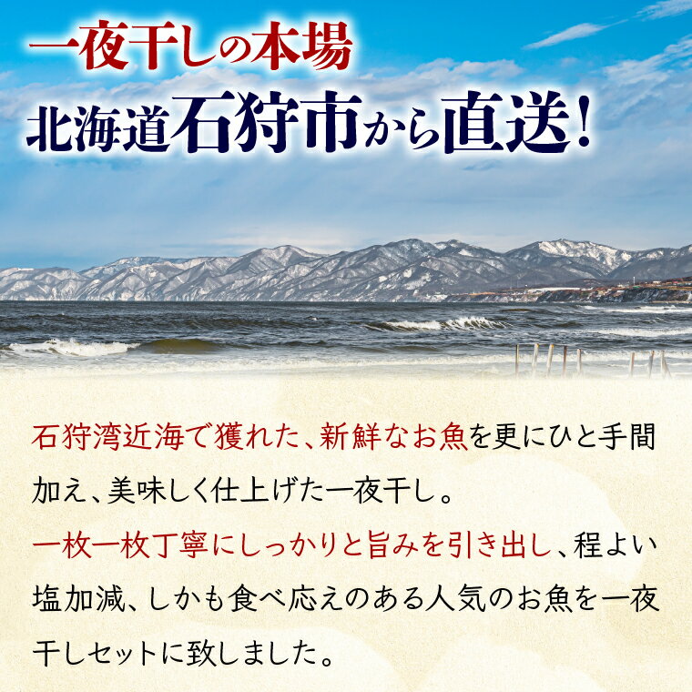 【ふるさと納税】干物 ほっけ カレイ旨塩 いしかり一夜干しセット 12枚入（カレイ・ホッケ・にしん・4種）ふるさと納税 北海道 石狩界隈 海鮮 セット 珍味 かれい ホッケ セット 詰め合わせ 詰合せ 干物盛り合わせ 4枚 4種類 宗八カレイ ナメタカレイ 鰊