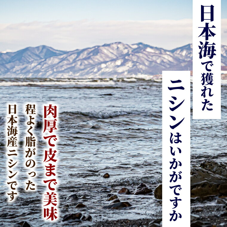 【ふるさと納税】干物 にしん 鰊一夜干しニシン（3枚～12枚）北海道 石狩市 いしかり 3枚 3人前 にしん 魚 海鮮 干し 一夜干 干物セット 詰め合わせ 詰合せ セット 珍味 魚貝 魚 魚介類 海の幸 石狩湾産 国産 おいしい グルメ 道内産 人気 おいしい