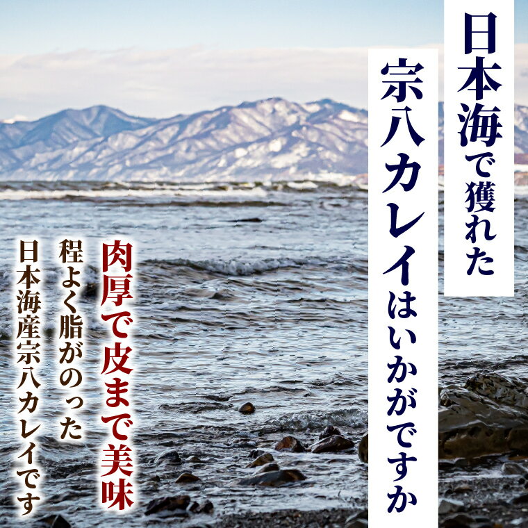 【ふるさと納税】干物 かれい カレイ一夜干し宗八カレイ（3枚～12枚）北海道 石狩市 いしかり 3枚 3人前 ソウハチカレイ かれい 開き ひらき エテガレイ キツネガレイ 一夜干 干物セット 詰め合わせ 詰合せ 珍味 魚貝 魚 おいしい グルメ たっぷり