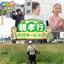 【ふるさと納税】代行サービス 地元 サービス親孝行代行サービス-2(石狩市全域) 石狩市 ふるさと納税 北海道 現状確認代行 クリーニング 帰省 お手入れ 除草...