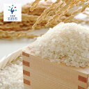 【ふるさと納税】 石狩産特A米セット「ゆめぴりか20kg・な