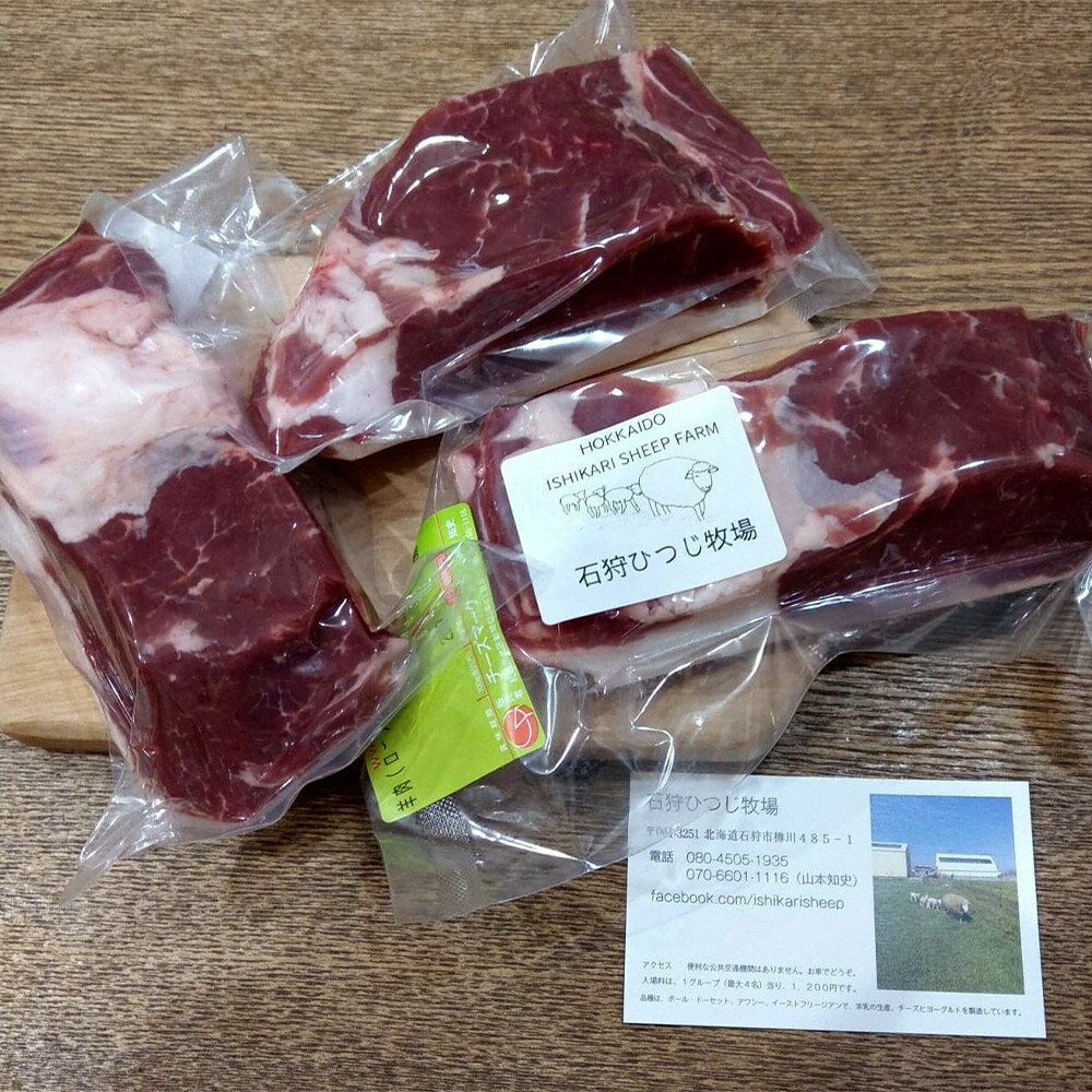 【ふるさと納税】石狩産羊肉（ジンギスカン、ステーキ用）（計500g-600g） E-035 石狩市 ふるさと納税 北海道 500g 600g ロース ヒレ バラ うで モモ 北海道産 ジンギスカン 味付き 直送 焼肉 BBQ グルメ 人気 老舗 お取り寄せ 北海道直送