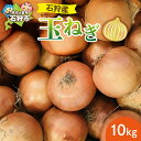 【ふるさと納税】《レビューキャンペーン》玉ねぎ タマネギ 玉葱 【2025年度産:9月~11月発送】石狩産 玉ねぎ 10kg 石狩市 いしかり 北海道 北海道産 道産 野菜 玉ネギ 玉葱 農産物 たまねぎ 10キロ 10kg 大量 一括 ケース 秋野菜 人気野菜 旬 旬野菜 季節野菜