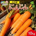 【ふるさと納税】《レビューキャンペーン》野菜 やさい にんじん 【2025年度産:8月~11月発送】石狩産 人参10kg 北海道産 石狩市 いしかり 農産物 ニンジン キャロット 旬野菜 秋野菜 まとめ買い 一括購入 10kg 10kg 10キロ 十キロ 自宅用 自分用 旬 根菜