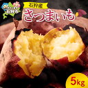 【ふるさと納税】《レビューキャンペーン》サツマイモ 芋 おいも 野菜 【2025年度産:10月~発送】石狩産さつまいも(5kg) 石狩市 いしかり 北海道産 北海道 道産 旬 高糖度 農産物 焼き芋 ヤキイモ 焼きイモ 石焼きイモ いも おやつ まとめ買い 美味しい 野菜 根菜