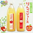 【ふるさと納税】《レビューキャンペーン》【予約】ジュース フルーツジュース リンゴジュース1000ml 2本(ジョナゴールド&北斗1本・ハックナイン1本) 石狩市 ふるさと納税 北海道 北海道産素材 りんごじゅーす 林檎ジュース おやつ セット 詰め合わせ お土産