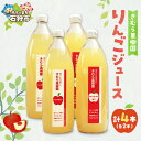 【ふるさと納税】《レビューキャンペーン》【予約】ジュース フルーツジュース リンゴジュース1000ml 4本(ジョナゴールド&北斗2本・ハックナイン2本)) 石狩市 ふるさと納税 北海道 北海道産素材 りんごじゅーす 林檎ジュース おやつ セット 詰め合わせ お土産
