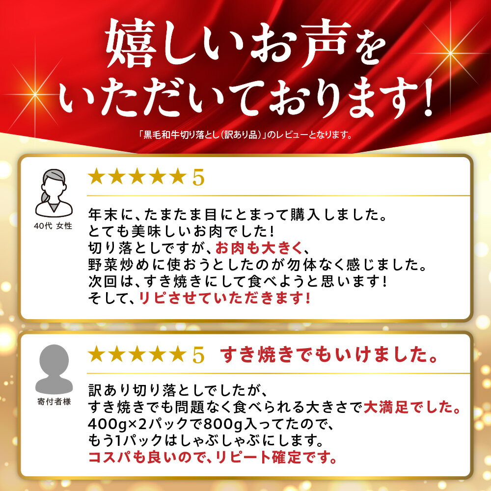 【ふるさと納税】牛肉 黒毛和牛 精肉　黒毛和牛切り落とし(訳あり品)(400g)(800g)　北海道産 道産和牛 黒毛和牛 国産牛 道産牛 北海道産牛 肉 お肉 精肉 和牛切り落とし 切り落し 訳アリ 訳有 自宅用 単品 ストック 買い置き 保存用 北海道和牛