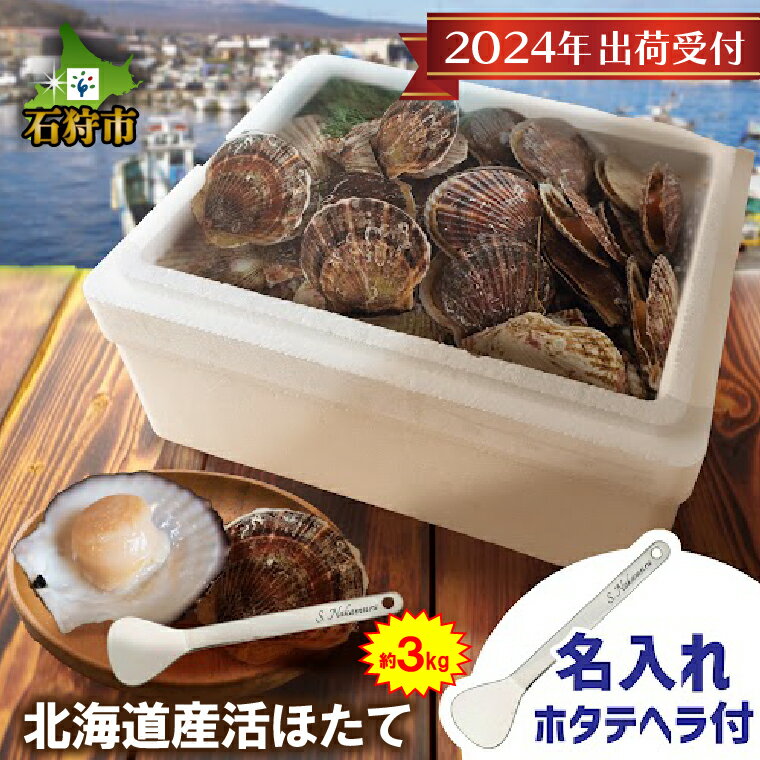 ギフト 名入れ[2024年出荷受付]北海道産活ほたて3kg / オリジナル名入れ剥きへら付き石狩市 北海道 ホタテ ほたて 帆立 帆立貝 海鮮 貝 活帆立 活ホタテ 生 ヘラ付き 名前入り 殻付き 刻印 プレゼント 贈り物