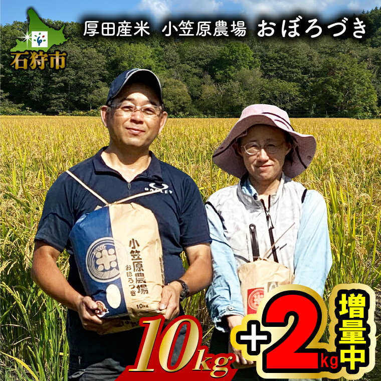 【ふるさと納税】【令和5年度・新米】北海道産 お米 精米【令和4年度産+2kg増量中】北海道 厚田産米 小笠原農場 おぼろづき 10kg+2kg石狩市 ふるさと納税 米 北海道米 道産米 ブランド米 お取り寄せ 北海道産 精米 人気（のし対応可）のサムネイル