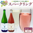 【ふるさと納税】 石狩市産 ぶどうで作ったスパークリング 2本セット セット 詰合せ 炭酸 ご当地 鮭 ワイン さっぽろワイン 石狩産 八幡 シャルドネ ヤマ・...
