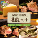 【ふるさと納税】チーズ スイーツ ラム肉石狩ひつじ牧場 ピスタチオと羊乳フロマージュブランのジェラート95ml×4個・羊肉200g・羊乳チーズ50g石狩市 いし...