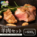 【ふるさと納税】《レビューキャンペーン》ギフト 肉 ラム 石狩産羊肉(ジンギスカン、ステーキ用)(計500g-600g) E-035 石狩市 いしかり 北海道 ...