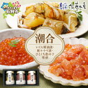 【ふるさと納税】お歳暮 魚介 鮭 ギフト 佐藤水産 潮合(A)(No.10755)(いくら醤油漬・鮭ルイベ漬・ひとくち数の子松前) 北海道 石狩市 いしかり 鮭...