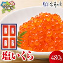 【ふるさと納税】いくら イクラ 塩イクラ佐藤水産 塩いくら 480g(120g×4)北海道 石狩市 いしかり サーモンファクトリー 珍味 惣菜 おかず 魚卵 塩...