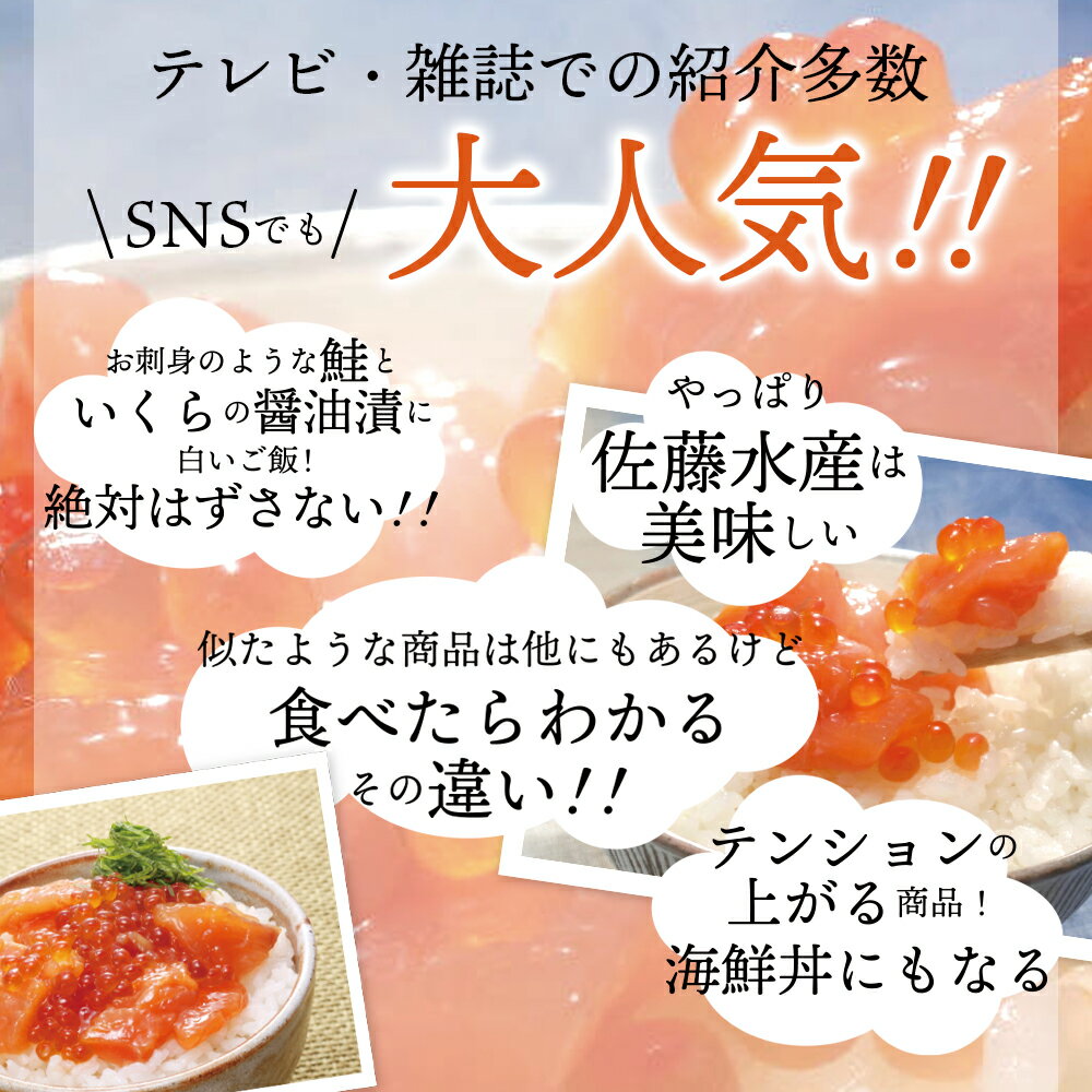 【ふるさと納税】【9月10日から受付再開】魚介 鮭 ギフト佐藤水産 いくらたっぷり鮭ルイベ漬北海道 石狩市 いしかり サーモンファクトリー 鮭 サケ さけ 新巻き鮭 サーモン イクラ いくら 筋子 魚醤 ルイベ ルイベ漬け お土産（のし対応可）