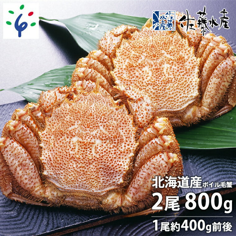 稚内産ボイル毛ガニ1尾(約650g〜約800g)【1237874】| ふるさと納税バイブル 稚内産ボイル毛ガニ1尾(約650g〜約800g)【1237874】| ふるさと納税バイブル