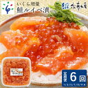 鮭 ルイベ漬け いくら＜佐藤水産＞いくらたっぷり 鮭ルイベ漬(425g)北海道 石狩市 いしかり るいべ ルイベ ルイベ漬 るいべ漬け さけ 鮭 サケ いくら イクラ 味付け 人気 醤油味 しょうゆ 魚卵 海の幸（のし対応可）