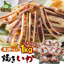 【ふるさと納税】ギフト 珍味 干物 おつまみ石狩仕込み 焼きいか 醤油 【100g 10パック入】北海道 石狩市 いしかり 焼きイカ 焼き烏賊 焼いか いか焼き イカ焼き 海産物 海の幸 海鮮 魚介類 詰…