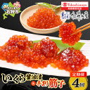 【ふるさと納税】《レビューキャンペーン》【定期便】【全4回】いくら醤油漬 手まり筋子 1月 4月 7月 10月 4回 鮭 イクラ イクラ醤油漬 いくら 筋子 す...
