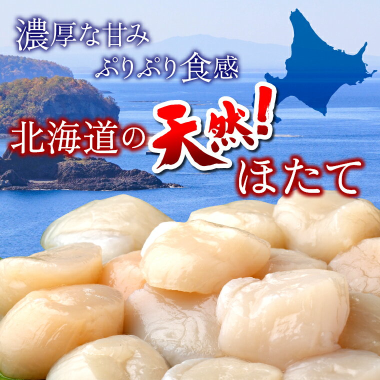 【ふるさと納税】ホタテ ほたて 帆立天然 訳あり 冷凍ほたて貝柱(500g)北海道 石狩市 いしかり 貝 海産物 魚貝 水産 海鮮 冷凍 自然 サイズ不揃い 貝柱 かいばしら 訳アリ 訳有 自宅用 オホーツク産[のし対応不可] s1225