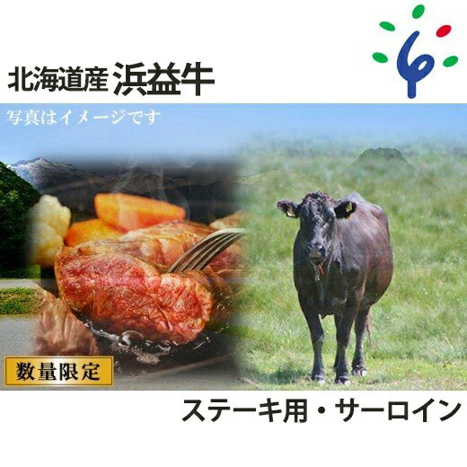 【ふるさと納税】牛肉 道産牛 北海道【～6月末迄・予定数量に到達次第受付終了】浜益牛 黒毛和牛 ステーキ用【サーロイン】石狩市 いしかり 北海道 北海道産素材 道産 惣菜 ステーキ 焼肉 すて…