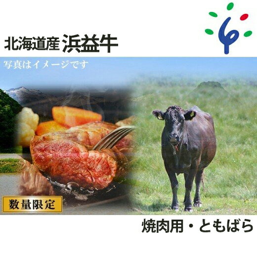 牛肉 道産牛 北海道[〜6月末迄・予定数量に到達次第受付終了]浜益牛(黒毛和牛)焼肉用[ともばら]石狩市 いしかり 北海道 北海道産素材 道産 惣菜 総菜 ステーキ 焼肉 すてーき 鉄板焼き 肉料理 国産牛 北海道牛 肉 にく トモバラ[NEW]