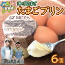【ふるさと納税】飛ぶ鳥農場 海の街たまごプリン 6個 北海道産 プリン スイーツ デザート お菓子 洋菓子 菓子 おやつ お返し お祝い プレゼント ギフト 贈...