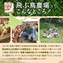 北海道石狩市の画像3