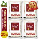 人気ランキング第30位「北海道石狩市」口コミ数「1件」評価「5」【令和5年度産】ギフト お米 精米令和5年産 地物市場とれのさと ななつぼし 20kg石狩市 ふるさと納税 北海道 米 特Aランク 北海道米 お米 お取り寄せ ブランド米 人気 品種 ナナツボシ 北海道産 北海道産米 白米 精米 20キロ（のし対応可）