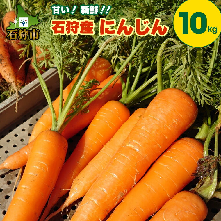 1位! 口コミ数「0件」評価「0」野菜 やさい にんじん【2024年度産：8月～11月発送】石狩産 人参10kg北海道産 石狩市 いしかり 農産物 ニンジン キャロット 旬野･･･ 