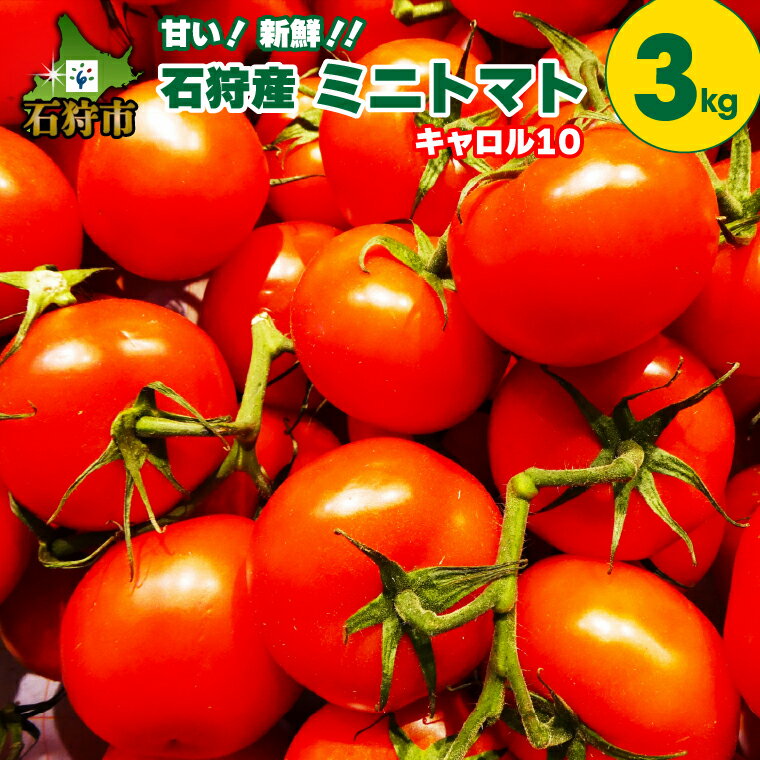 トマト ミニトマト 野菜[2024年度産:7月〜9月発送]石狩産ミニトマト(キャロル10)3kg石狩市 いしかり 北海道 北海道産 農産物 夏野菜 プチトマト ぷちとまと ミニとまと とまと 甘い きゃろる 3kg 3kg 3キロ 3キロ 一括[NEW]